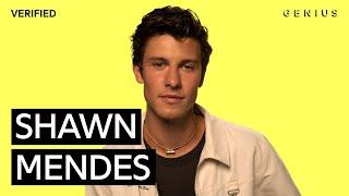 Shawn Mendes When Youre Gone Official Lyrics & Meaning  Verified