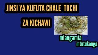 MAAJABU YA MTI WA MLANGAMIA KATIKA KUFUTA CHALE TOCHI ZA KICHAWI