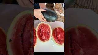 आ गए खतरनाक इंजेक्शन लगे हुए तरबूज  injection in Watermelon #watermelon #youtube #shorts #viral