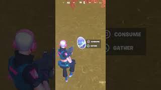 Dont Watch The End #shorts #fortnite #gaming #tiktok