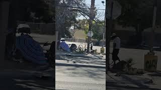 Bum Block Party #lasvegas #wow #homeless #camping #garbage #bike #omg