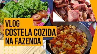 Vlog da Rosi Dia delicioso com direito a costela cozida. Olha esse Por do 