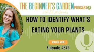 How to Identify Whats Eating Your Plants