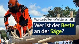 Waldarbeiter-Meisterschaft Wer ist der Beste an der Säge?  BR24 vor Ort