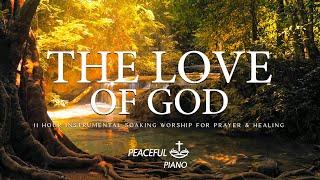 The Love Of God _ Instrumental Worship & Scriptures with Nature  Peaceful Piano