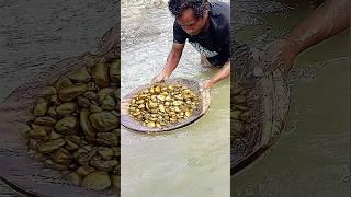 Aku menemukan emas di aliran sungaidi dulang secara manual #gold #videos #goldhunter