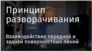 Взаимодействие передней и задней поверхностных линий принцип разворачивания  Adama Yoga