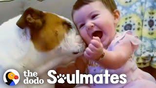 Adorable Kids and Dogs Growing Up Together  The Dodo Soulmates