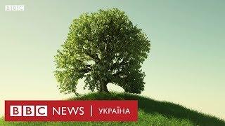 Лопатою і саджанцем - по зміні клімату