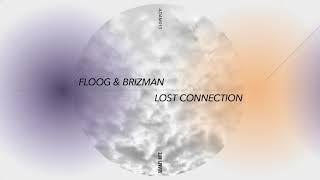 Floog & Brizman feat Linn Stern - True Believer