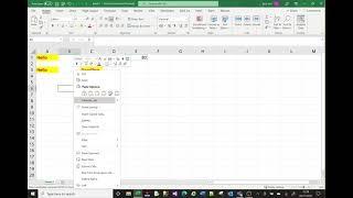 MS Excel tutorial on copy and paste options.