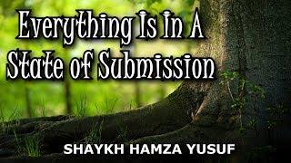 Everything Is In A State of Submission - Shaykh Hamza Yusuf