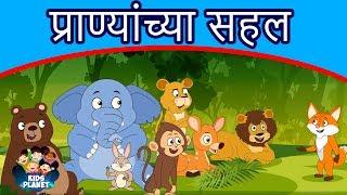 प्राण्यांच्या सहल - Marathi Goshti गोष्टी  Chan Chan Goshti  Marathi Story  Ajibaicha Goshti