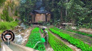 2 year living off grid in forest doing electricity Make toilet gardening harvest to market sell