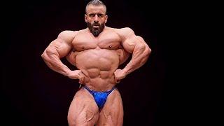 THE PERSIAN WOLF - IFBB Pro bodybuilder Hadi Choopan - Muscle checking 2024