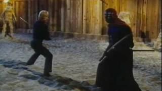 Chuck Norris Karate vs. Ninja