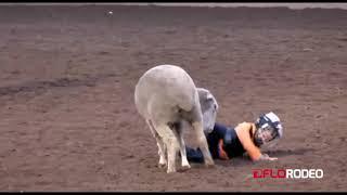 Hilarious Mutton Busting Ride