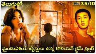 Burning Korean movie Explained in Telugu  Cheppandra babu