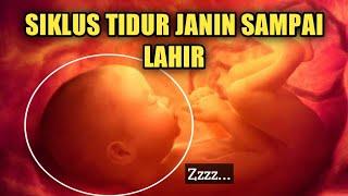 JARANG DIKETAHUI BEGINI SIKLUS TIDUR JANIN DI DALAM KANDUNGAN HINGGA IA LAHIR