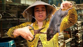 Surviving on RATS This Mekong Village Makes Millions from Rats