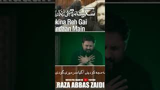 #shorts  Sakina Reh Gai Zindaan Main  Syed Raza Abbas Zaidi  Nohay 2023  Noha Bibi Sakina  1445