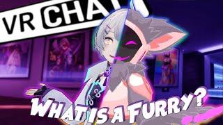 The Thriving Furry Community of VR the Identity Behind a Fursona.  A VRChat Documentary