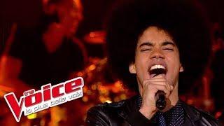 Céline Dion – River Deep Mountain High  Gwendal Marimoutou  The Voice France 2014  Épreuve Ultime