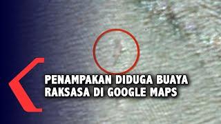 Penampakan Diduga Buaya Raksasa di Google Maps Perairan Nunukan