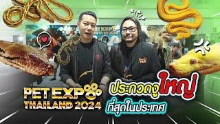 ประกวดงูใหญ่ ที่สุดในประเทศ Petexpo2024  I เพื่อนรักสัตว์เอ๊ย