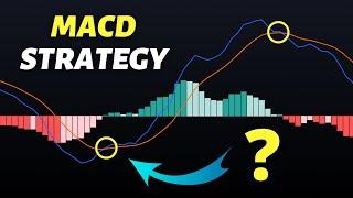 I Tested The Best MACD Trading Strategy on Youtube 100 Times  Must Watch  