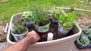 Ground Up Organic herb garden containers