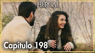 Hercai - Capítulo 198
