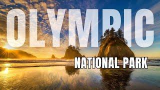 Olympic National Park Attractions  TRAVEL GUIDE