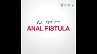 Causes an anal fistula