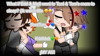 What if Edd & Matt went to Tord and Tom’s room to sleep? Ik weird title 