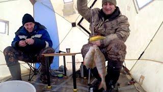 ШОК МЕШОК РЫБЫ ЗА НЕСКОЛЬКО МИНУТ ЛОВИЛИ ПО ДВА ОКУНЯ НА ОДИН КРЮЧОК  fishing