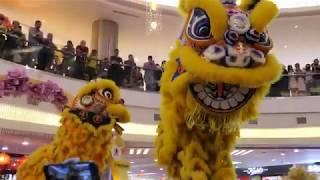 CNY 2020  Acrobatic Lion Dance 双狮高桩表演 Múa Lân by Kim Ying 金英 @ 1 Utama 11 Jan 2020 4k