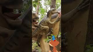 #Shorts  StoryZoo  Learn about Dinosaurs  Educational Videos For Kids  #storyzoo