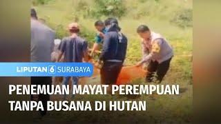 Geger Penemuan Mayat Perempuan Tanpa Busana di Hutan  Liputan 6 Surabaya