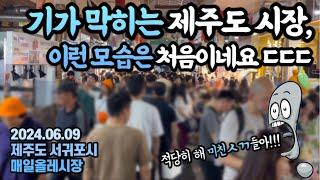 정말 미친놈들인가?심각한 제주도 상황...제주도 여름 수산물 총정리&추천 in올레시장제주ep.2