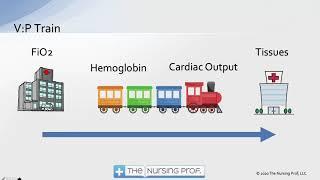 CCRN Neurological 3