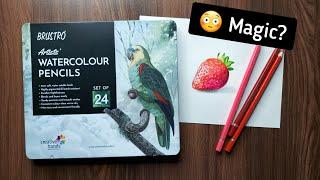 Trying New Brustro watercolor pencils   tutorial