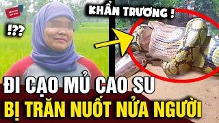 Đi cạo mủ cao su KHÔNG THỂ VỀ người chồng đi tìm tá hỏa thấy 12 CƠ THỂ VỢ đang bị nuốt  Động Tiin