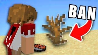 This Minecraft BUSH is ILLEGAL... Here’s Why