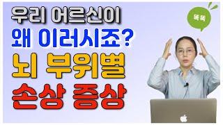 우리 치매 어르신이 왜 이러시죠? 뇌 부위별 손상 증상을 알아보아요