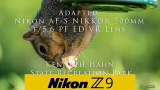 Treasures from Kenneth Hahn park with the Z9 - video and photos. Amazing Nikon color & so much fun