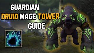 Guardian Druid Mage Tower Guide  Easy & Fast Cheese Guide