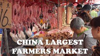 CHINA’S LARGEST FARMER’S MARKET IN 2024  MORE THAN WHAT YOU EXPECTED