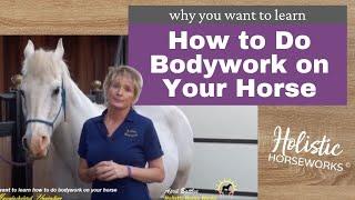 Why you want to learn how to do bodywork on your horse