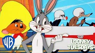 Looney Tuesdays  Surprising Duos  Looney Tunes  @WB Kids